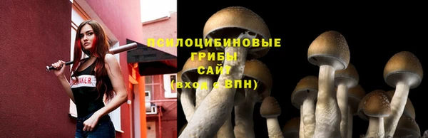 ешки Балахна