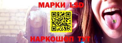 гидропоника Сланцы