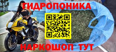 гидропоника Сланцы