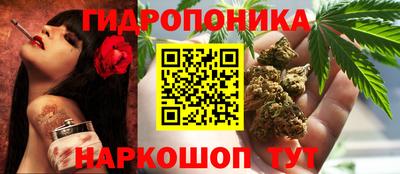 прущие крисы Славгород