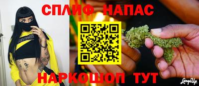 гидропоника Сланцы