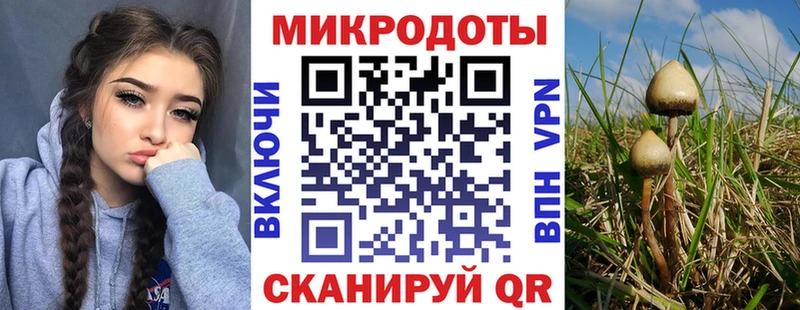 Псилоцибиновые грибы Psilocybine cubensis  Семилуки 