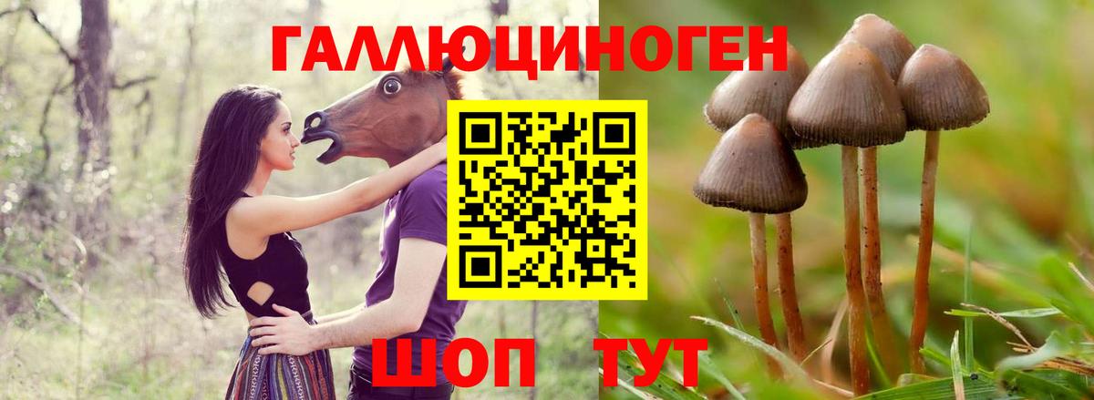 Семилуки  Псилоцибиновые грибы мухоморы  Вход с VPN 